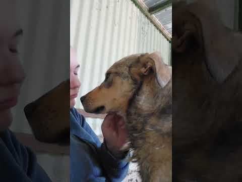 Guss en vidéo 8