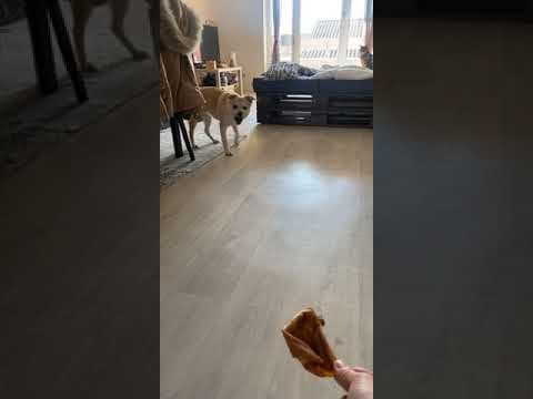 Swimmer en vidéo 11