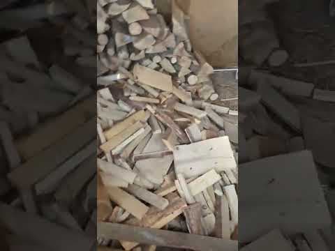 Belote en vidéo 1