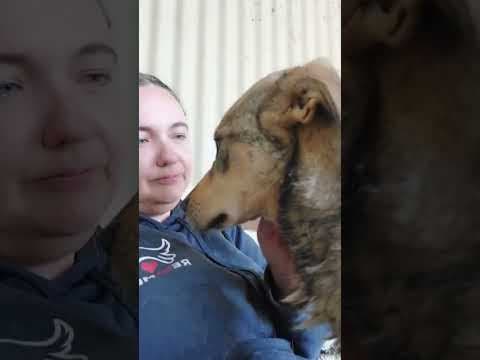 Guss en vidéo 9