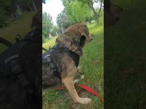 Althea en vidéo 1