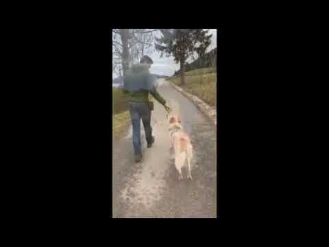 Oria en vidéo 5