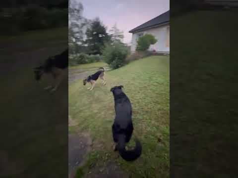 Lola en vidéo 6