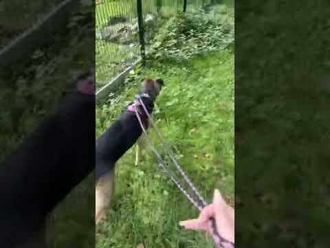 Lola en vidéo 7