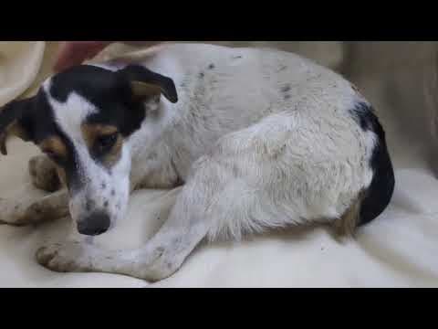 Nori en vidéo 3
