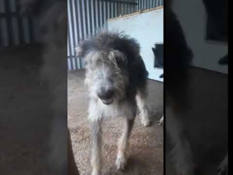 Derek en vidéo 6