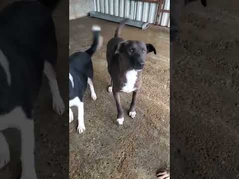 Gaby en vidéo 1