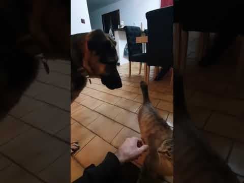 Lola en vidéo 12