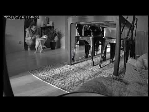 Swimmer en vidéo 9