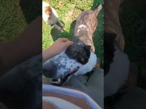 Mira en vidéo 2