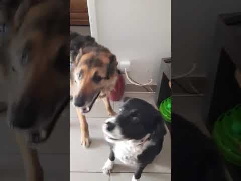 Enee en vidéo 9