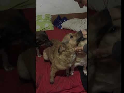 Lisa en vidéo 1