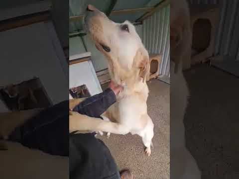 Derry en vidéo 3
