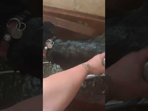 Chypre en vidéo 10