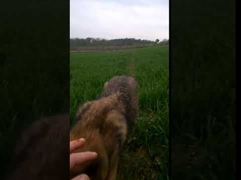 Monsieur en vidéo 9