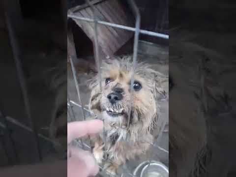 Kovou en vidéo 1