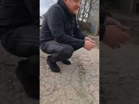 Lipa en vidéo 1
