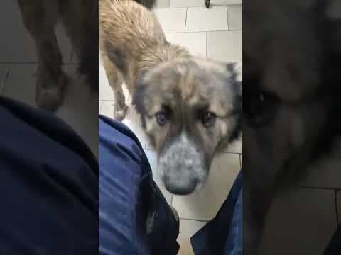 Selune en vidéo 1