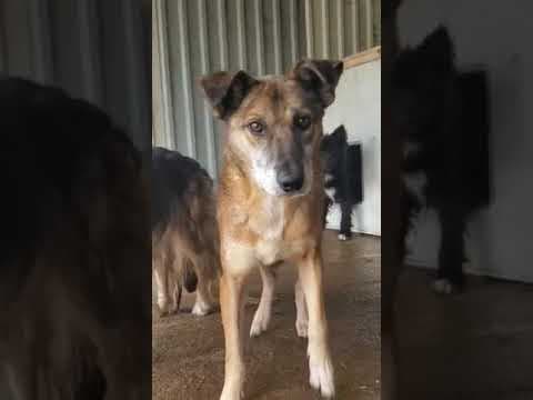 Diego en vidéo 2