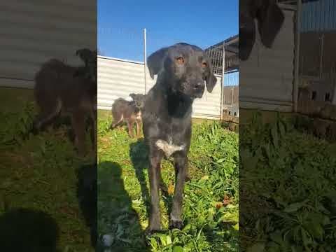 Fizz en vidéo 1