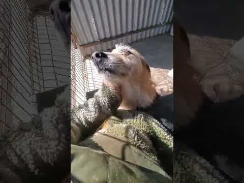 Imelda en vidéo 2