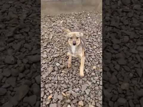 Katie en vidéo 2