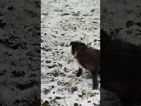 Tinou en vidéo 5
