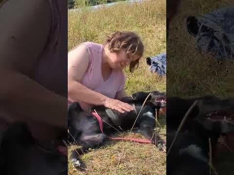 Black en vidéo 1
