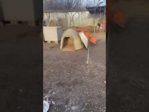 Urikane en vidéo 2