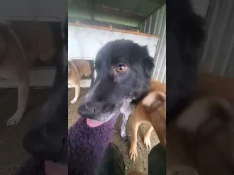 Flavio en vidéo 2