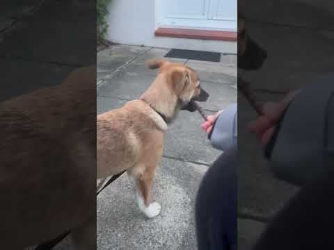 Ayvi en vidéo 9