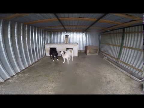 ** Bayou ** 4 Ans De Box en vidéo 1