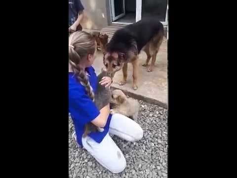 Enee en vidéo 2