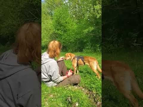 Silco en vidéo 3