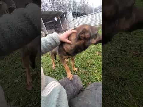 Baps en vidéo 4