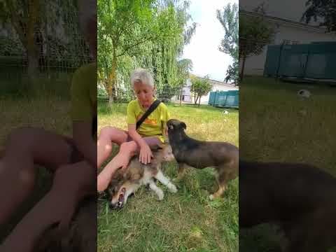 Dolce en vidéo 3