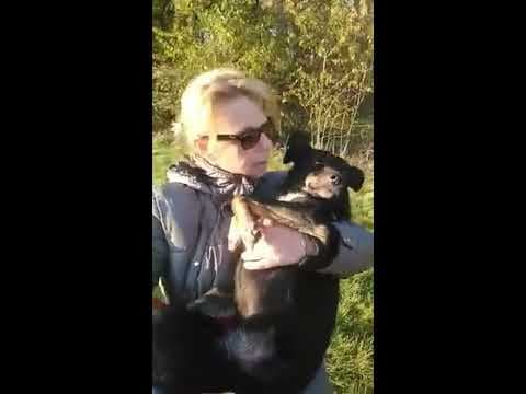 Mirza en vidéo 8