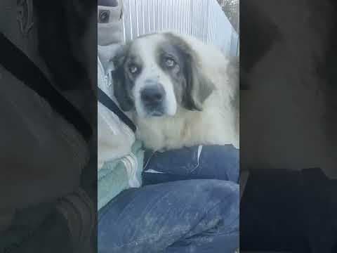 Baïkal en vidéo 3