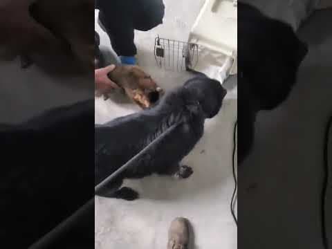 Kilia en vidéo 2