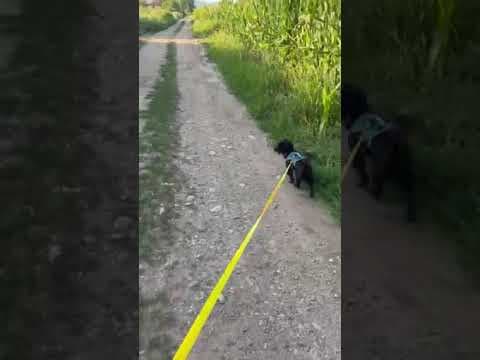 Elzara en vidéo 2