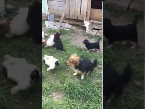 Rita en vidéo 1