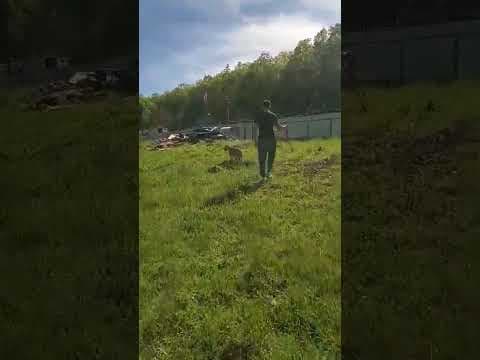 Tunari en vidéo 7
