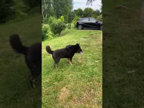 Patitza en vidéo 5