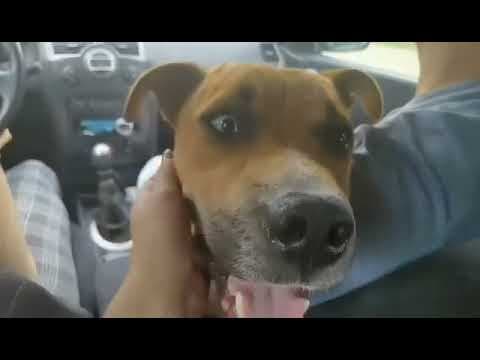 Zeus en vidéo 5