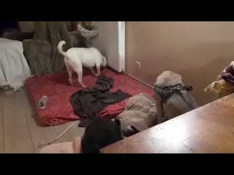 Kiartan en vidéo 2