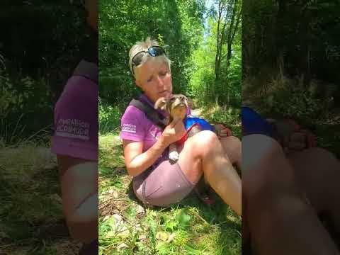 Raphinha en vidéo 1