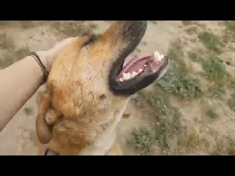 Zeus en vidéo 7