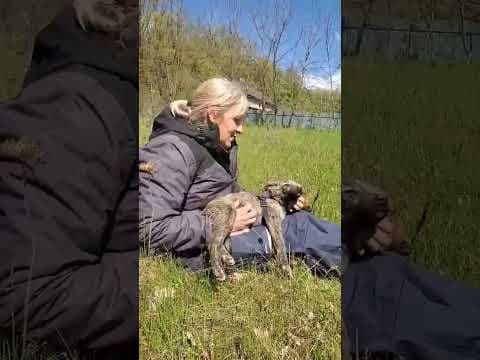 Lumi en vidéo 1