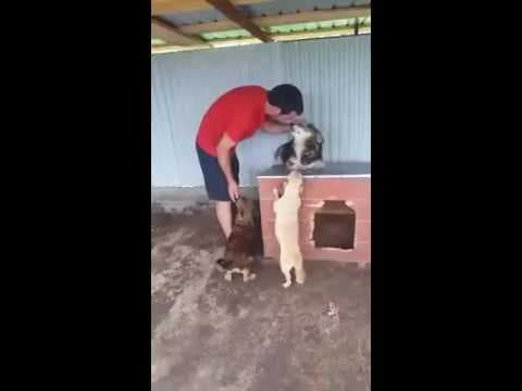 Polochon en vidéo 1