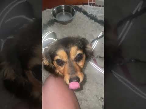 Pia en vidéo 4